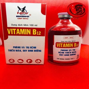 vitamin-b12-tong-hop-cho-ga