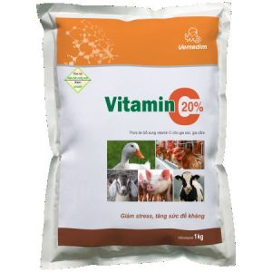 vitamin-va-khoang-chat-cho-ga-voi-vitamin-c.jpg